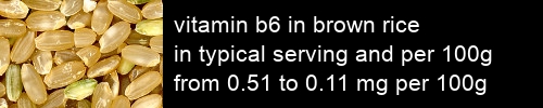 vitamin b6 in brown rice information and values per serving and 100g